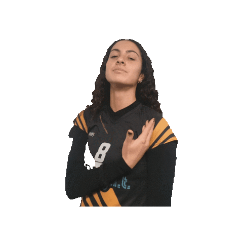 Alice Meneguzzo Sticker by Fenice Pallavolo Roma