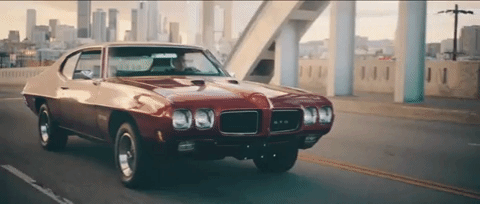 zedd giphydvr clarity zedd foxes GIF