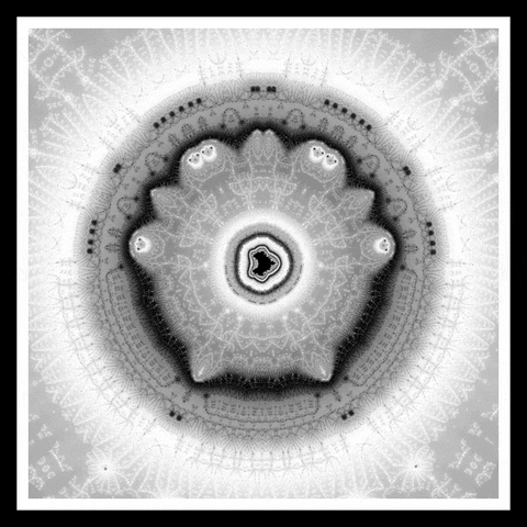 Loop Nft GIF by xponentialdesign