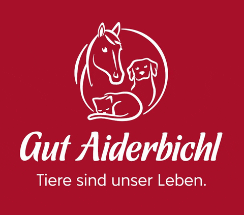 GutAiderbichl giphyupload gut aiderbichl gutaiderbichl tieresindunserleben GIF