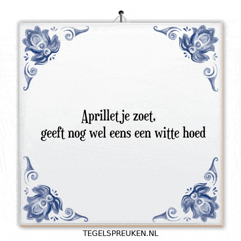 Humor Nl GIF by Tegelspreuken.nl