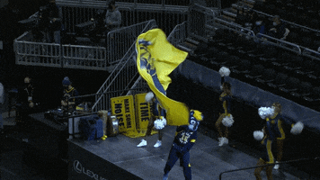 Boomer Flag Wave GIF by Indiana Pacers