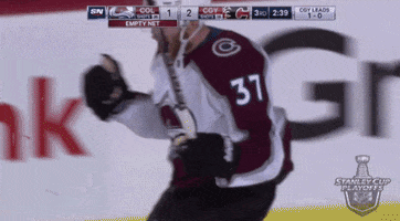 happy ice hockey GIF by NHL
