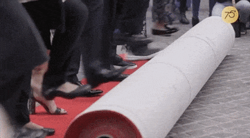 rolling out the red carpet GIF by Golden Globes