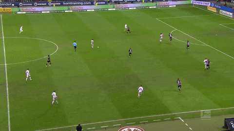 1 Fc Cologne Football GIF by 1. FC Köln