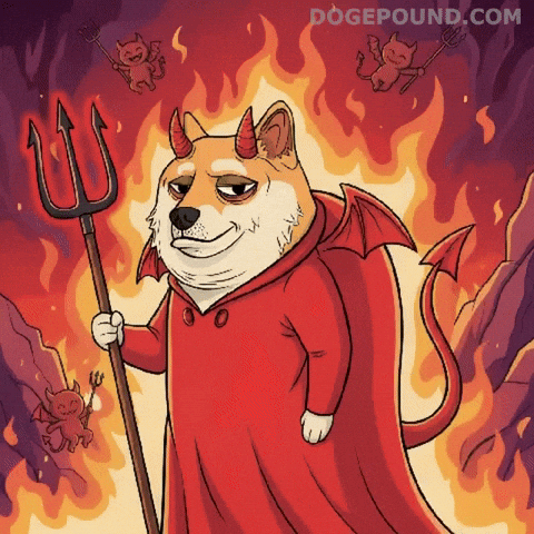 Sassy Shiba Inu GIF by Doge Pound