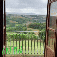 Luxury Fermenting GIF by Marcel Katz / The Art Plug