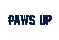 Florida International University Miami Sticker by FIU