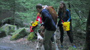 cbs funny cow the amazing race GIF