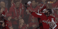 ice hockey love GIF by NHL