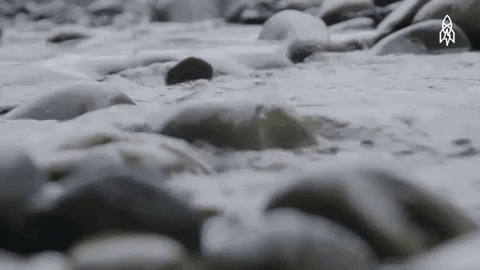 greatbigstory giphygifmaker nature water rock GIF