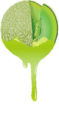 Fruit Dripping Sticker by Wonderbrett