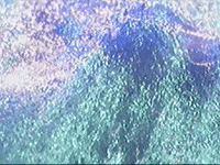 Footage Oaf GIF by jorgemariozuleta