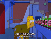 homer simpson episode 6 GIF