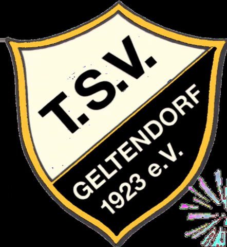 TSVGeltendorf giphygifmaker giphyattribution geltendorf tsv geltendorf GIF
