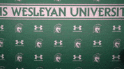 Iwuwvb24 GIF by iwusports