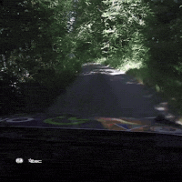Czech Erc GIF by FIA European Rally Championship