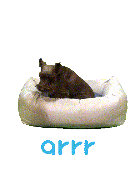 아르르 Sticker by arrr_official