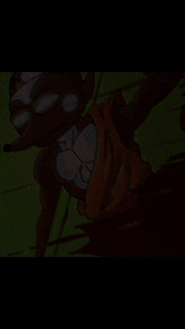 Money Crypto GIF by HegeCoin