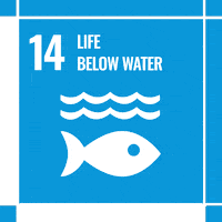 Act4Sdgs GIF by MY World Mexico