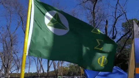 College Ifc GIF by Delta Sigma Phi