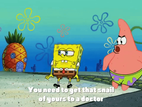new leaf episode 13 GIF by SpongeBob SquarePants