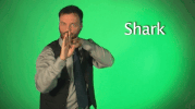 sign language shark GIF by Sign with Robert