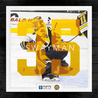 providencebruins providence bruins GIF