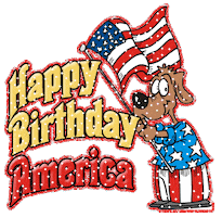 fourth of july art STICKER