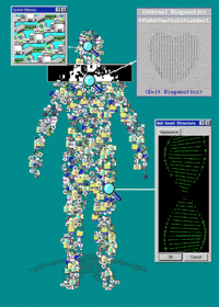 Loop Windows GIF by PERFECTL00P