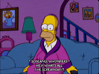 scared homer simpson GIF