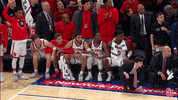St Johns Sjubb GIF by St. John's Red Storm