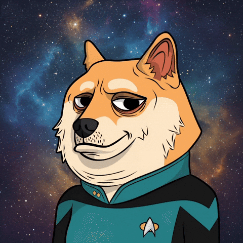 Star Trek Dog GIF by Doge Pound