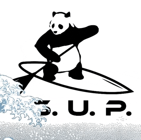 standuppanda panda sup paddle paddleboard GIF