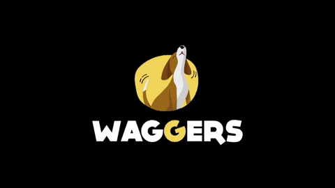 Waggers giphyupload peru perro cachorro GIF