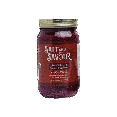 SaltAndSavour giphygifmaker fermented sauerkraut kraut Sticker