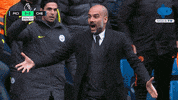 Angry Premier League GIF by MolaTV
