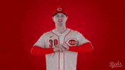 Baseball Mlb GIF by Cincinnati Reds