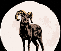 Bleckwiesen bwf bleckwiesen bleckwiesenfestival GIF