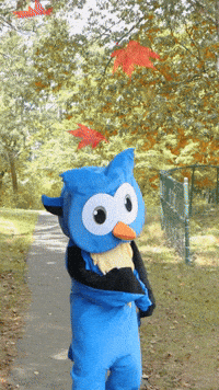 Halloween Celebrate GIF by Middlesex Community College