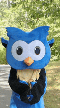 Halloween Celebrate GIF by Middlesex Community College