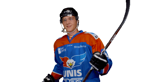unisflyers giphyupload goal hockey eagles Sticker