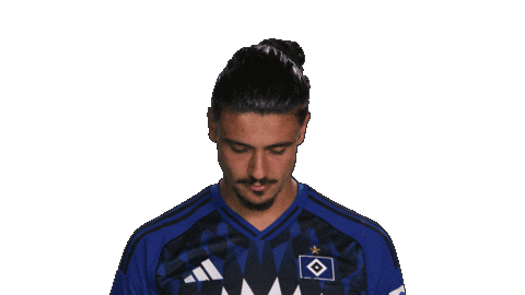 Look Up Hamburger Sv Sticker by Bundesliga