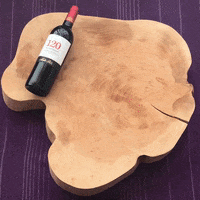 SantaRitaWinesBrasil wine recipe vinho receita GIF