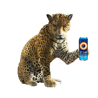 SolarPowerMx Energy drink jaguar solar power solarpower Sticker