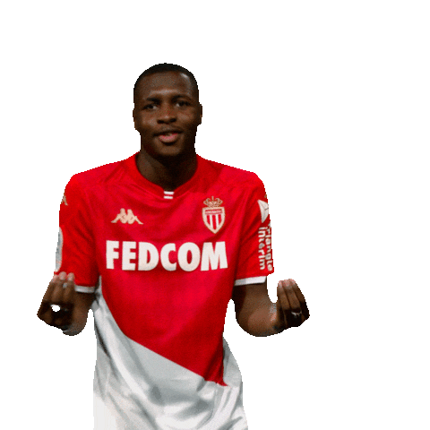 Ligue 1 Football Sticker by AS Monaco