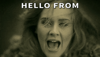 Celebrity gif. Leaves whip around Adele as she sings charismatically. Text, "Hello from the other side."