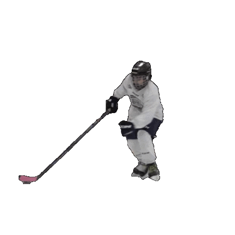 Ice Hockey Sticker by HockeyDiversityAlliance