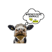 Animal Welfare Sticker by AGRICOW