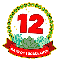 12 Days Sticker by Succulent Studios